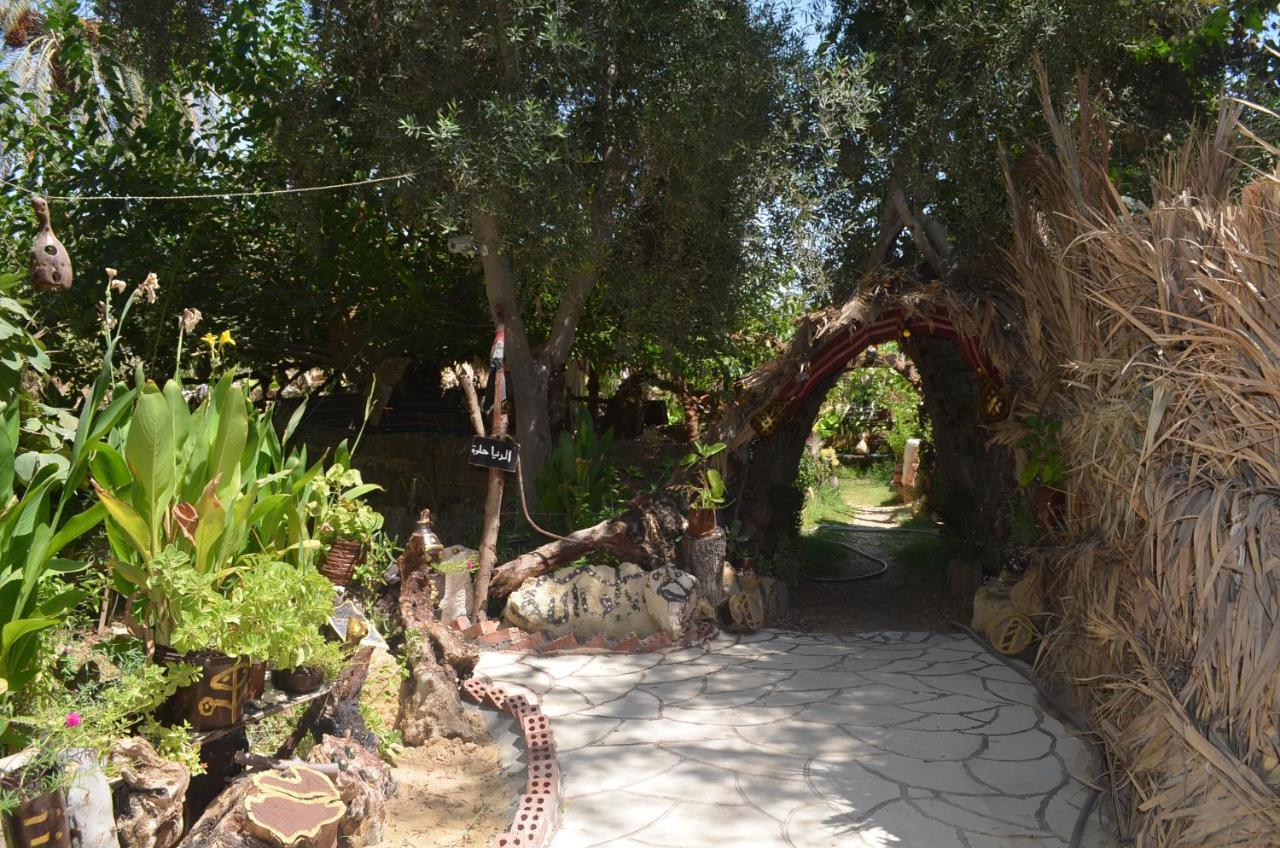 Mountain Camp Ali Khaled Hotel Siwa Oasis Exterior foto