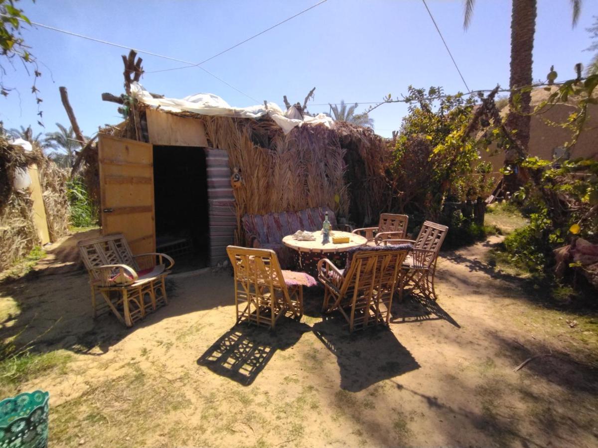 Mountain Camp Ali Khaled Hotel Siwa Oasis Exterior foto