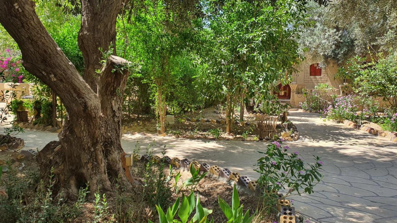 Mountain Camp Ali Khaled Hotel Siwa Oasis Exterior foto